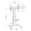 TECHLY ICA-TR156 ΤΡΟΧΗΛΑΤΗ ΒΑΣΗ ΜΕ ΡΑΦΙ ΓΙΑ ΤΗΛΕΟΡΑΣΗ LCD/LED/Plasma 50-92