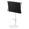 TECHLY ICA-TR55 ΤΡΟΧΛΗΛΑΤΗ ΒΑΣΗ ΜΕ ΡΑΦΙ ΓΙΑ ΤΗΛΕΟΡΑΣΗ LCD/LED/PLASMA 37-86 ΛΕΥΚΗ