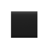 Center Button (1-Gang/2-Way) Black Button AJAX